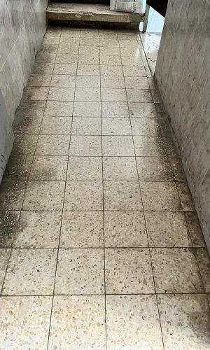 WhatsApp Image 2022-09-04 at 16.13.16